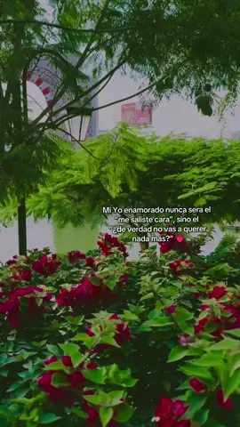 #parquedelaamistad🌈🌟🌸  #surco_lima 