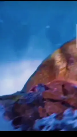 #reflexion #motivation #frases 