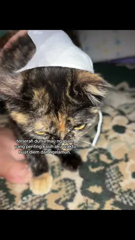 terserah dunia mau ngapain, yang penting kasih aku waktu buat diem dan ngelamun. #galaubrutal🥀 #fyppppppppppppppppppppppp 