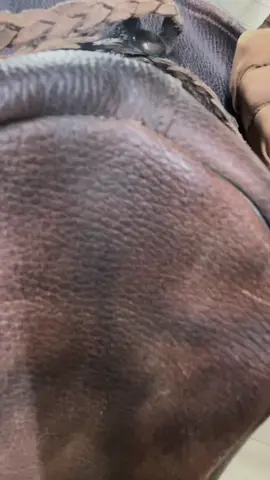 I love u horsie #taikishuttle #umamusume #umamusumeprettyderby #cosplay #horsecosplay 