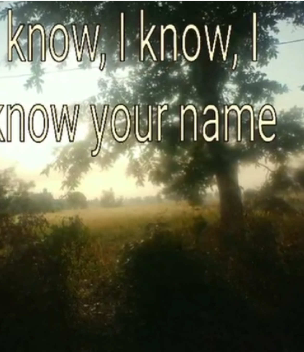 I Know Your Name — Lemon Demon | #lemondemon #neilcicierega #music #lyrics #hiptothejavabean #fyp #viral #musicvideo #song @xtragummizz 
