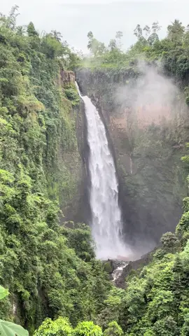 Nikmat mana lagi yang kau dustakan #airterjunkabutpelangi #kabutpelangi #airterjun #wisataindonesia #viral 
