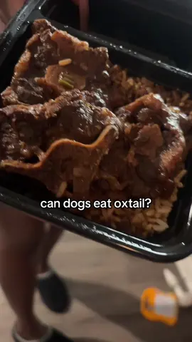 I give my dog unseasoned chicken but oxtail 🤣