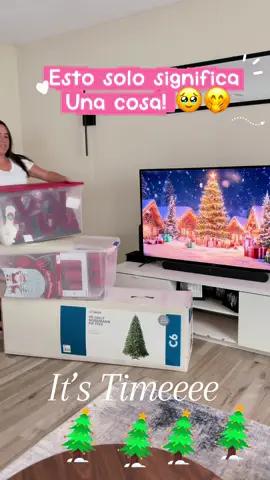 Vibras Navideñas 🥹🥹🥹 Domingo de poner Navidad en familia 🤭🤭 #christmas #christmasdecor #family #fyp #familytime 