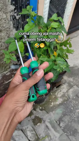 #obeng #obengmultifungsi 