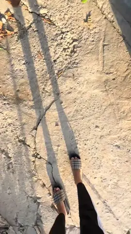 toàn trái lớn✈✈@kiencookies #xuhuongtiktok 