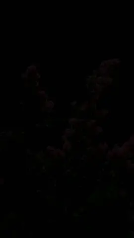 Kabhi alvida na kehna 💙💫 #khusbookejhoke #foryoupage 