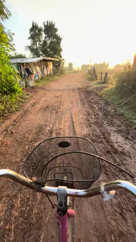 #fyp #ลูกชาวนา #วิวบ้านนอก🍃 #ขึ้นฟีดเถอะ #อย่าปิดการมองเห็น 