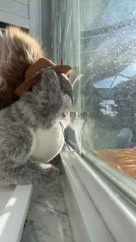 ROOMBA #xyzbca #viral #fyp #foryoupage #foryou 