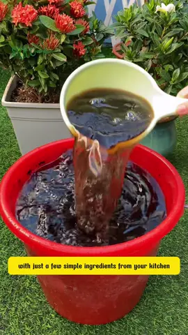 Useful tips for your garden