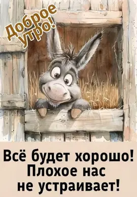 доброе утро.     #позитивчик #хорошегонастроения🥰 #