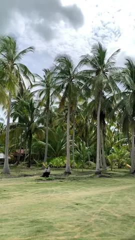 alahaiii molekknyeee🥰🫶 #kampunghalaman #rinduawakseparuhnyawa #fyppppppppppppppppppppppp #fyp #bersihnyaberikankekuatan 