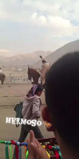 #tiktoklive #livehighlights #caballobailando #huaylash #fpyyy 