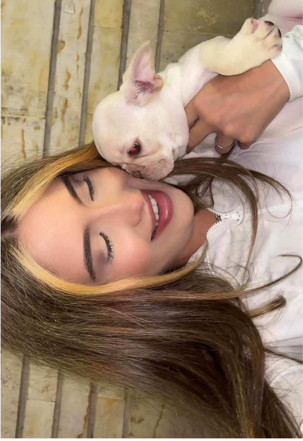 Les presento a COPITO 😍🥹 🐾