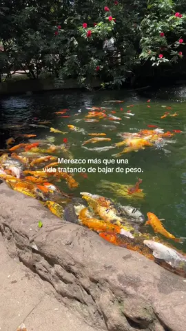 #fyppppppppppppppppppppppp#weight#xybca 