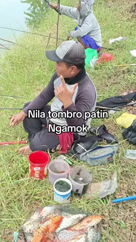 Bukaan ketiga hari ini bosku 082135814041