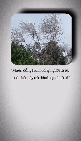 7 MỨC ĐỘ ĐẾN VỚI ĐẠO 🌹 Mức độ thứ nhất là biết Đạo. Nghĩa là ta có duyên gặp Phật Pháp, được nghe một bài giảng, được ai đó rủ đi Chùa. Nhờ vậy, hiểu về Phật Pháp, về nhân quả cũng như việc tu hành giải thoát. 🌹 Mức độ thứ 2 là mến Đạo. Hỏi nhiều người về Phật Pháp thì họ biết nhưng rủ đi tu tập thì họ tìm mọi cách để từ chối. Những người này biết, nhưng không mến đạo vì duyên của họ chỉ đến vậy thôi. 🌹 Mức độ thứ 3 là siêng năng học hỏi, tìm hiểu về Đạo. Người nào mến đạo rồi thì mới muốn biết sâu về đạo. Lúc này, cuộc sống, suy nghĩ, nội tâm của họ đã khác rất nhiều so với khi hiểu đạo sơ sơ. 🌹 Mức độ thứ 4 là bắt đầu thực hành Đạo lý. Khi hiểu đạo kỹ rồi, buộc người đó phải thực hành tu tập những công phu về tâm linh và sống đúng với đạo lý. Sống đúng đạo lý là biết cân nhắc tội phước trước khi làm mọi việc, biết kiềm chế bản năng, biết giúp đỡ người khác. Đây là một bước tiến rất dài trên con đường tu tập. 🌹 Mức độ thứ 5 là hóa Đạo. Khi người hành đạo đến mức độ sống và suy nghĩ đúng theo đạo lý rồi, thì tự cái ảnh hưởng của họ sẽ lan ra cuộc sống của những người xung quanh một cách tự nhiên, không cố ý. Thực tế, dù chưa mạnh nhưng trong đầu họ lúc đó đã xuất hiện suy nghĩ mang đạo Pháp đến với chúng sinh. 🌹 Mức độ thứ 6 là hộ Đạo, tức là bắt đầu có ý thức bảo vệ Phật Pháp.  Đến đây, ta thấy Phật Pháp chính là ánh sáng, là tài sản quý giá của thế gian. Đó cũng chính là viên ngọc đem lại rất nhiều lợi ích cho cuộc đời này. Vậy nhưng, từ thời Đức Phật đến giờ, đạo Phật luôn bị chống phá bằng nhiều hình thức tinh vi. Vì lợi ích riêng tư, lợi ích nhóm hay tình cảm riêng với tôn giáo mình, nhiều thế lực đã không công nhận mà còn muốn diệt đạo Phật, khiến nhiều giai đoạn, đạo Phật rơi vào tình trạng khủng hoảng, suy thoái nghiêm trọng.  Chúng ta thử tưởng tượng, nếu một ngày đạo Phật mất đi, thế gian này sẽ chìm trong bóng tối, con người chỉ còn lại hơn thua, hận thù, cái thiện mất đi chỉ còn lại cái ác, thế giới sẽ sớm bị diệt vong. Không muốn điều này xảy ra, lúc nào họ cũng có ý thức đoàn kết và bảo vệ Phật Pháp rất cao, vì biết rằng luôn có rất nhiều âm mưu hiểm độc đang nhằm vào đạo Phật. 🌹 Mức độ thứ 7 là chứng Đạo. Sau nhiều công đức từ khi biết đạo đến lúc hộ đạo, tâm linh bắt đầu khai mở giúp ta chứng một quả vị Thánh. Ta bắt đầu sống một cuộc đời khác mặc dù người ngoài nhìn vào, vẫn thấy ta là người bình thường. Vậy nhưng, nội tâm ta đã là một người khác hẳn. Lúc đó, ai nói xấu ta, họ sẽ chịu quả báo nặng nề, ngược lại ai khen ta thì được phước rất lớn. Tuy nhiên, muốn đạt được mức độ 7 này rất khó vì công đức phải rất lớn.   👉 Muốn dìu dắt chúng sinh thì phải biết cơ duyên, cá tính, lịch sử riêng của từng người trong các kiếp. Làm thế nào để đưa họ đến với đạo Phật một cách tự nhiên và thích hợp nhất.   👉 Hiểu hết được những cái khó mà một vị Bồ tát phải đối mặt khi chấp nhận giáo hóa chúng sinh thì tâm chúng ta khởi lên một niềm yêu kính vô bờ bến với các Ngài. Nơi các Ngài, luôn chất chứa những công hạnh cực khổ, phải tu trong vô lượng kiếp mới thành. Cho nên, khi quỳ xuống lạy Phật và Bồ Tát, ta hiểu rằng lòng mình có kính yêu bao nhiêu cũng không đủ.  (Trích sách: Nhân quả công bằng) Sưu Tầm Nam Mô Bổn Sư Thích Ca Mâu Ni Phật 🙏🙏🙏