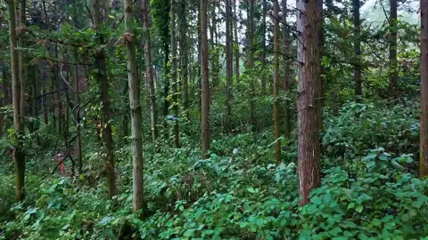 Game một mạng #flycam #air3sdrone #xuhuong #xuhuongtiktok 