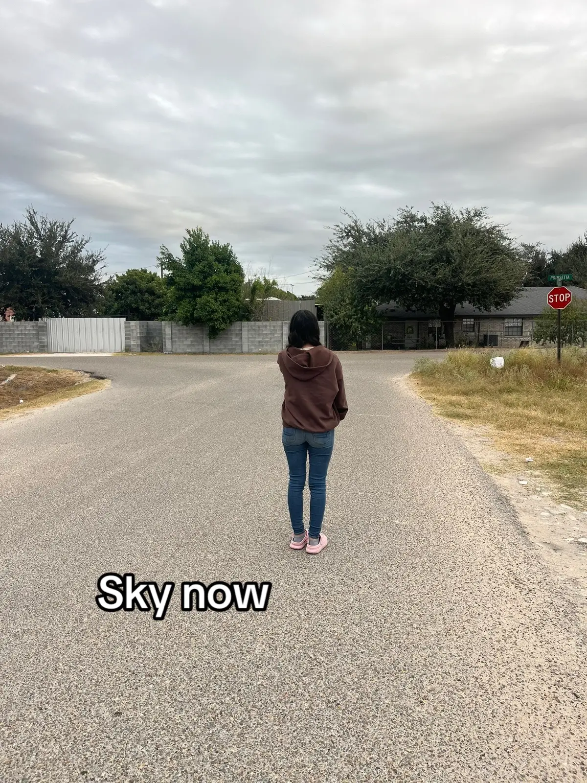 #blowthisup #fypシ゚viral #stragerthings5🔝 @Stranger Things 