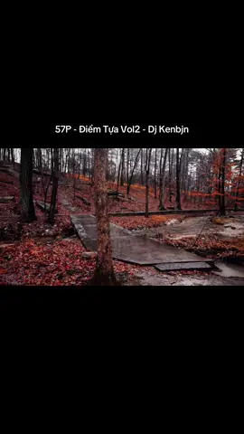 57P - Điểm Tựa Vol2 - Dj Kenbjn #xuhuong #djkenbjn #troi #caubesuutamnhac 