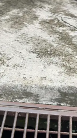 kabel nya ngumpet makin cakep ya #kzr #kzrperformance 