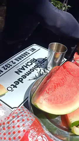 Trip @ulinbareng_adv tektok puncak sagara 9 November 2024 done✅ haturnuhun kasadayana seeyounext trip 🍃  #puncaksagara2132mdpl #puncaksagara #tektokgunung #pendaki 