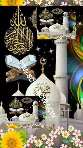 #corgi #fyp #lw #yummy #livehighlights 