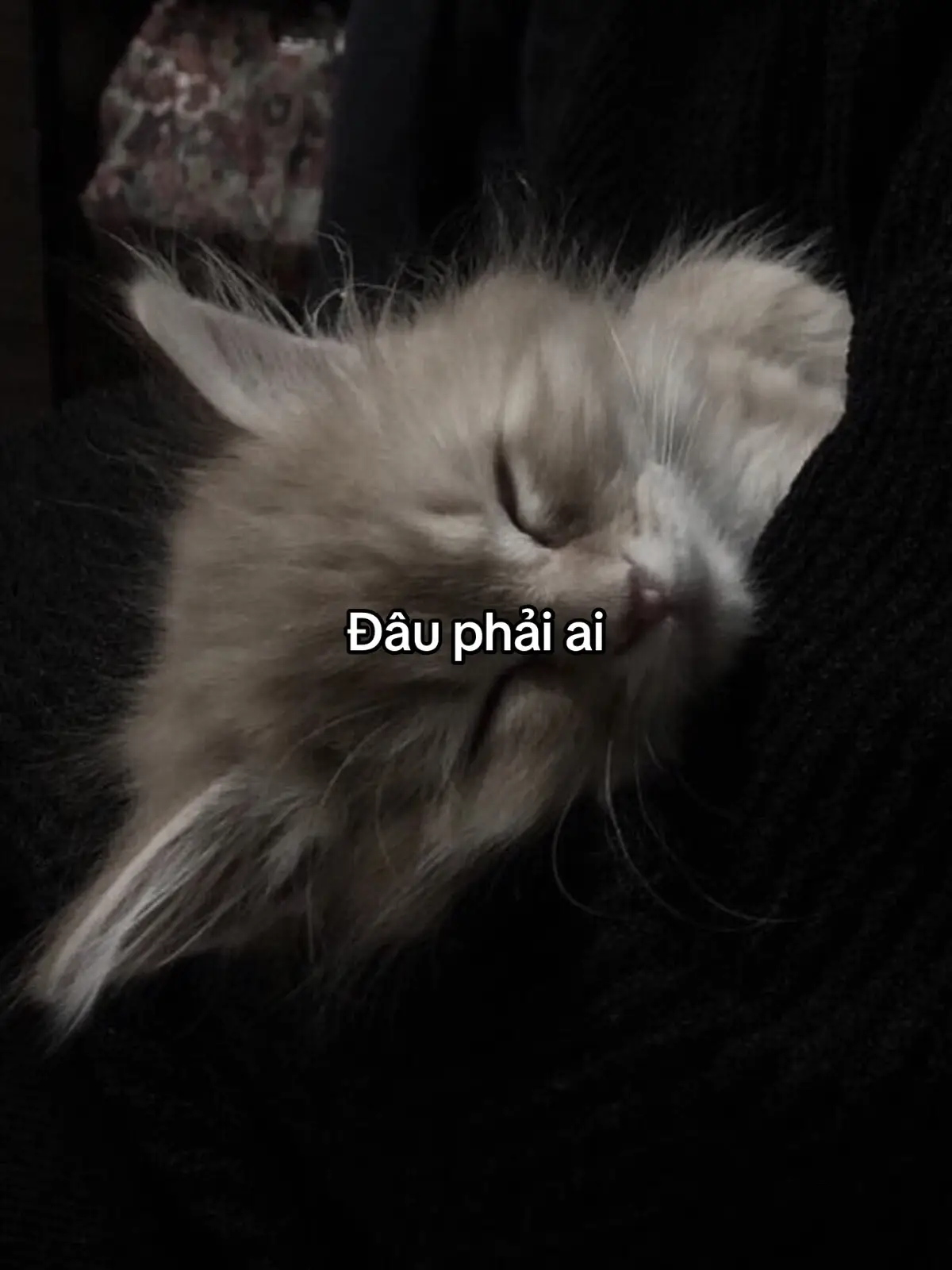 #sadstory #tinhyeu #viral #tam_trang_buon #pheoverthinking 