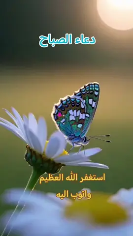 دعاء #دعاء  #اكسبلور  #aleisaei_1  #اكسبلور  #اللهم_صلي_على_نبينا_محمد 