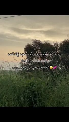 @Mtနော်😭🫶🏼#fypシ゚ #foryoupage #view #viewsproblem #myanmar 