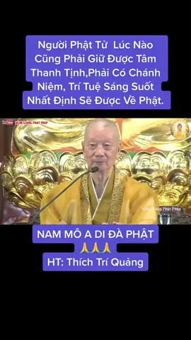 #nammobonsuthichcamauniphat #🙏🙏🙏 #htthichtriquang #🙏🙏🙏 #phatphapnhiemmau 