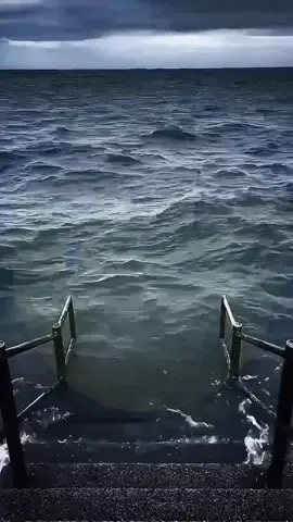 #meme #videohaihuoc #viral #funny #xuhuong 