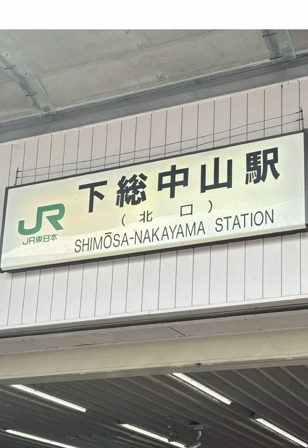 pulang dr apato temen, jalan dr apato ke eki 15-20mnt an. Temenku ngasih saran lewat jalan pintas dan ternyata lewat dalam kuil🥹 berapa masuk dunia lain jadinya. #japan #4u 