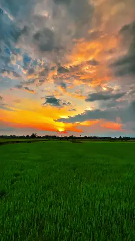 Mây hình đầu Kì Lân nè#nhachaymoingay #nhactamtrang #tamtrang #viralvideo #xh 