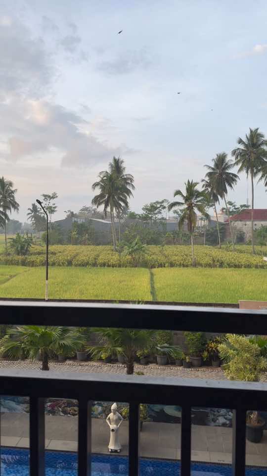 #kanjuruhanmalang  malang syahdu