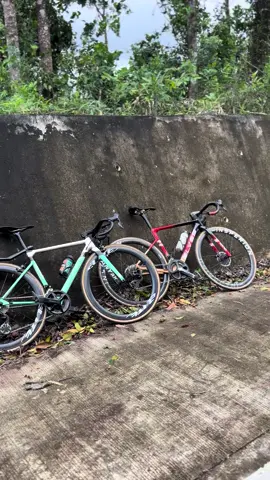 @Harvey🐌 #elvesphilippines #fypppppppppppppppppppppppppppppp #fyp #makeitviral 