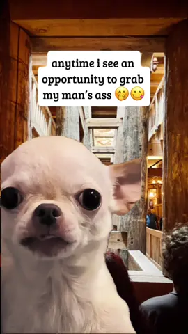 it’s like it calls me!! 😋🤭🤣 #fyp #Meme #MemeCut #funny #viral 