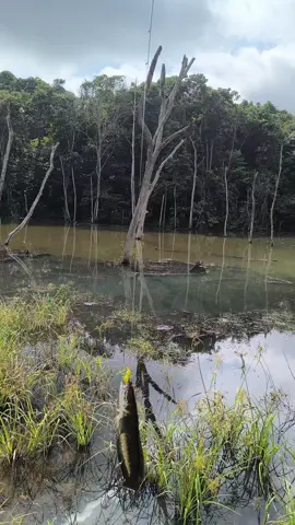 spot sejuta umat ..... #castinggabus #mancingliar #fyp 