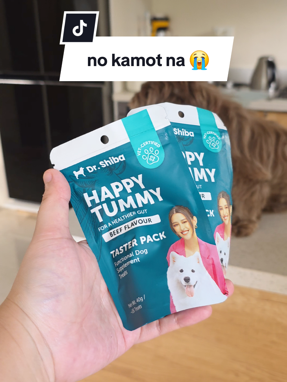 thank you talaga sa dr shiba dog probiotics, umokay mga alaga ko #drshiba #drshibahappytummy #dogprobiotics #probioticsfordogs #dogguthealth 