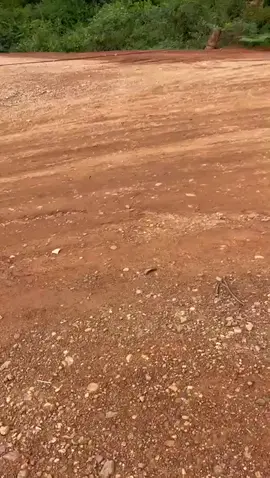 ASSALAMMUALAIKUM SELAMAT PAGI#fypdong #fypviralシ #fypシ゚viral🖤tiktok #fyppppppppppppppppppppppp #fyp 