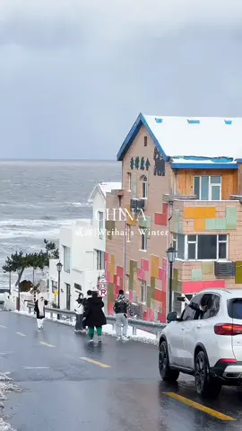 Weihai’s winter = Snowy coasts + crisp breezes + quiet charm—China’s most dreamy seaside winter escape! #weihai #威海 #山东威海  #winter #wolink #chinatravel #chinanature #explorechina #travel #fyp #tiktoktravel #VisitChina #ChinaTourism #travelbucketlist 