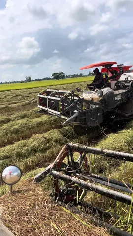 Tết tới rồi ae oi cắt lẹ lẹ ăn Tết thôi…