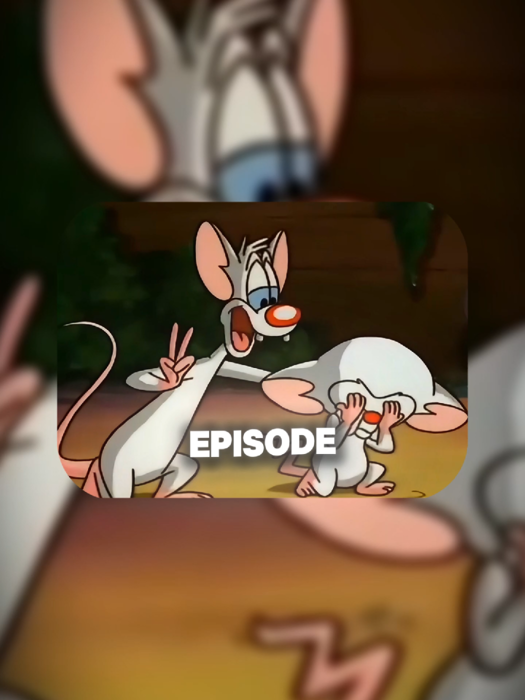 #pinkyandthebrain #animation #cartoon #classiccartoons #theory 