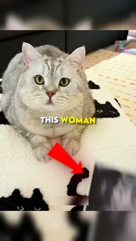 #foryoupage #newtrend #usa_tiktok #viral_video #fyp 