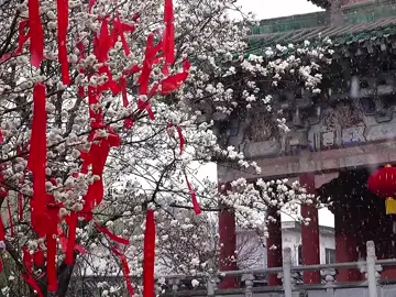 Sự phản bội mà ta nhận được hôm nay không phải do ta ngu ngốc hay không tốt. Mà là vì.ta đã quá tốt với những thứ chẳng xứng đáng với mình #xh #fyp #xuhuongtiktok #viral #camxuc 