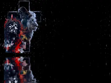 #bendiciones #amen #nuevodia #buenosdias #videoparaestado 