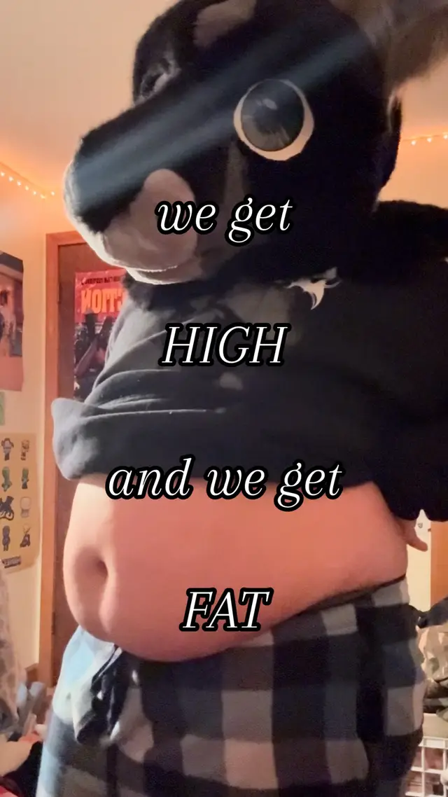 fatfur for life #furryfyp #furrymeme #fat 