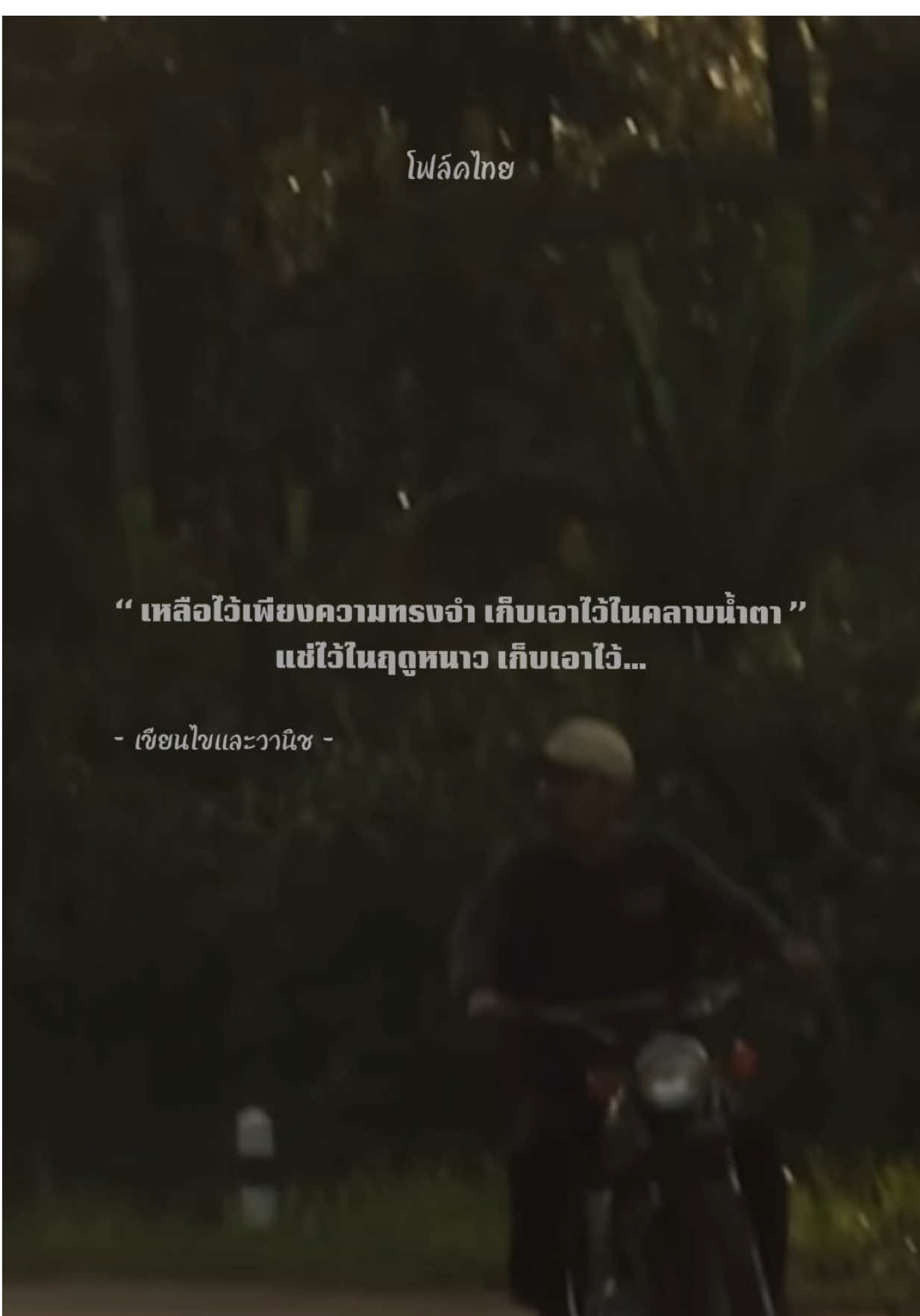 เก็บเอาไว้ในฤดูหนาว ฝากเอาไว้.. เขียนไขและวานิช 🍃 มานั่งฟังสดๆพร้อมถ่ายรูปแบบใกล้ชิดได้ที่  ‘‘ สุขุขกลางป่า2‘‘ เจอกันวันเสาร์ที่ 14 มีนาคม 69 📍ผาแคมป์ อ.แก่งคอย จ.สระบุรี รายชื่อศิลปิน 1. The bluesmoon 2.เขียนไขและวานิช 3.Mr“‘พระจันทร์ 4.เรืองฤทธิ์ บุญรอด 5. Greasy Cafe  6.ไทยตรง  ซื้อตั๋วได้แล้ว🎫 FB : สุขกลางป่า IG : สุขกลางป่า ติดตามได้ที่เพจ.สุขกลางป่า งาน Exclusive ใกล้ชิดศินปิน แล้วมาถ่ายรูปกับศิลปินแบบใกล้ชิดน้า🫶🏻✨ #สุขกลางป่า #เขียนไขและวานิช #โฟล์คไทย #ฟังโฟล์ค