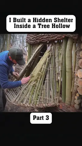 Part 3 #survival #bushcraftusa #usa🇺🇸 #outdoor #bushcraft #build #building #shelter 
