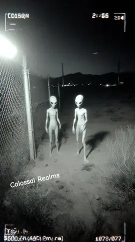 Leaked CCTV from a classified Area 51 holding chamber shows two small, gray aliens—large black eyes, slender limbs—standing silently inside a containment cell. They weren’t there during the morning check. No breach logs. No transport records. For 11 minutes, they stared at each other, then simultaneously turned to the camera and tilted their heads in unison before the feed cut out. Where did they come from? And how did they get inside a sealed facility? Utterly inexplicable.   #ufo #paranormal #inexplicable #cctv #area51